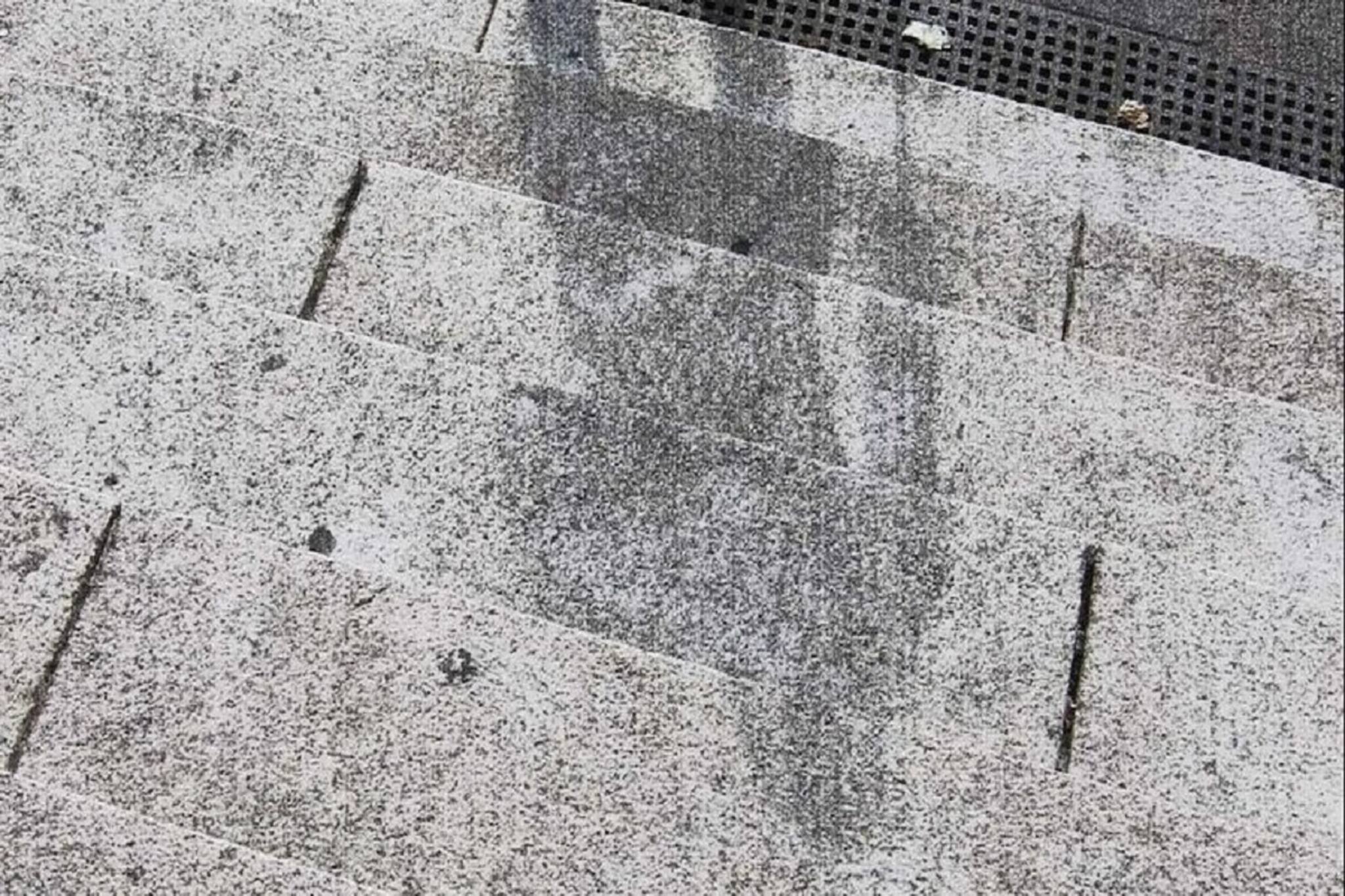 ছায়াটি দেখছেন? কার বলুন তো? ৭৭ বছর ধরে রহস্য! কিন্তু যা ঘটেছিল, তা অবিশ্বাস্য