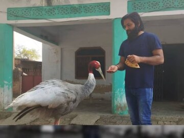 গত বছর অগাস্ট থেকে জমে উঠেছে আরিফ এবং সারসের অনাবিল বন্ধুত্ব