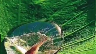 প্রকৃতির সৃষ্টির কাছে নতজানু আরও একবার, মানুষ প্রকৃতির সৃষ্টির কাছে নতজানু আরও একবার, মানুষ