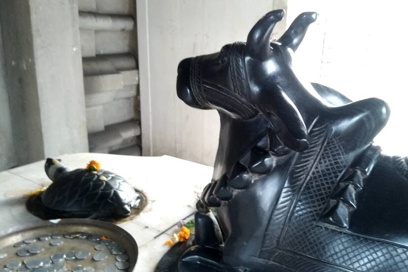 এই জায়গায় কিছুটা ভিড় এড়িয়ে পুজো দেওয়ার সুযোগ আছে। এখানে শিবলিঙ্গের মাথায় জল ঢালার সুযোগ রয়েছে সকলের জন্য। তাই চাইলে আপনিও যে কোনও দিন এই ঘুরে যেতে পারেন এই জায়গা থেকে। 