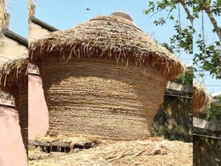এখনই তাড়াহুড়ো করে ধান বিক্রি না করে অপেক্ষা করতে চাইছেন তাঁরা
