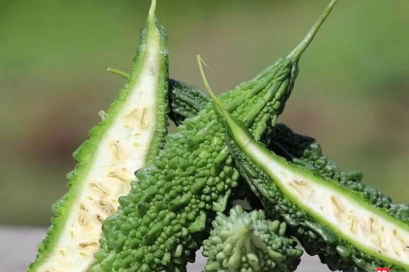 অ্যান্টি ভাইরাল বৈশিষ্ট্য থাকার জন্য সর্দিকাশি, মরশুমি জ্বরজারি, ইনফ্লুয়েঞ্জা থেকে প্রতিরোধ শক্তি তৈরি করতে সাহায্য করে উচ্ছে৷ মরশুম পরিবর্তনের সময় ডায়েট সুস্থতার অন্যতম চাবিকাঠি৷ কিন্তু কখনও ভেবে দেখেছেন উচ্ছে ও করলার মধ্যে পার্থক্য কী?