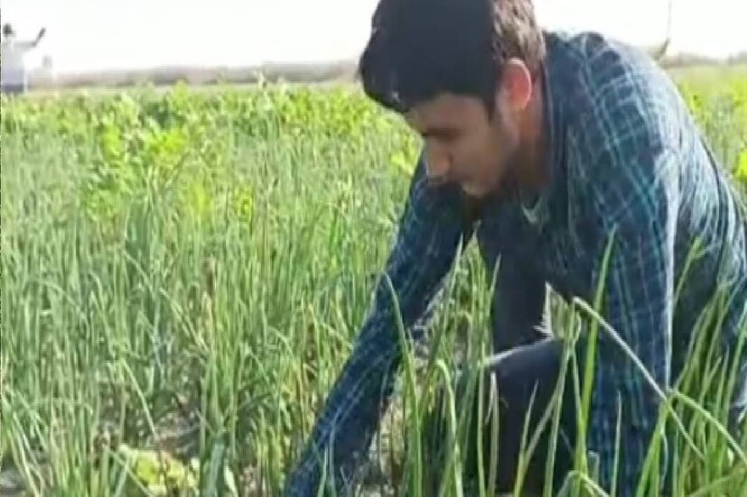 অ্যান্টি মাইক্রোবিয়াল, অ্যান্টি ব্যাকটেরিয়াল ও অ্যান্টি ভাইরাল বৈশিষ্ট্য থাকার জন্য বিভিন্ন সংক্রমণ প্রতিরোধ করে পেঁয়াজকলি। মরশুম পরিবর্তনে সর্দিকাশি, জ্বরজারি সারাতেও এই সব্জি জুড়িহীন।