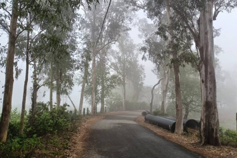যে কারণে একটু পরিশ্রম, বা ভারী কাজ করলে গরম ভাব অনুভূত হচ্ছে। আবার ঠিক একই কারণে সন্ধ্যার দিকে হালকা গরম বাতাসের জন্য ঋতুরাজ বসন্তের স্বাদও পাওয়া যায়। তবে আবহাওয়াবিদরা বলছেন, এই আবহাওয়া বেশি দিন থাকবে না। কারণ আস্তে আস্তে দিন বড় হচ্ছে।