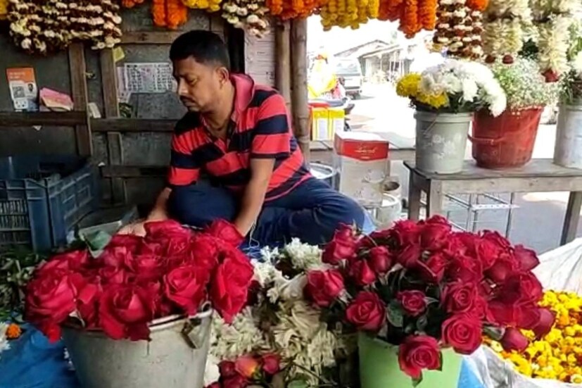 গত দুই বছর করোনা মহামারিতে লকডাউনের সময় গোলাপ বিক্রি করতে পারেননি চাষিরা, তবে করোনামুক্ত বর্তমান সময়ে শীত কাটিয়ে বসন্তের শুরুতে কিছুটা গরম পড়তেই বাগানে গোলাপের ফলনও ভাল মতো হয়, তাঁর ওপর ওই দিনটিকে সামনে রেখে বিক্রি হয় ভাল দামে। তাই বাড়তি লাভের আশায় বুক বাঁধছেন গোলাপ চাষিরা।