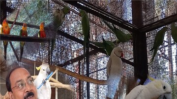 মুর্শিদাবাদে