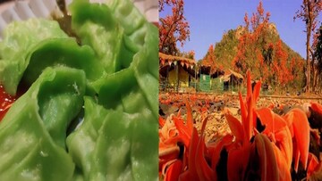 পুরুলিয়ার