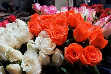 রোজ ডে-তে প্রতিবার লাল গোলাপ কেন, অন্য রঙেও প্রেম বোঝানো যায়, দেখে নিন কীভাবে!