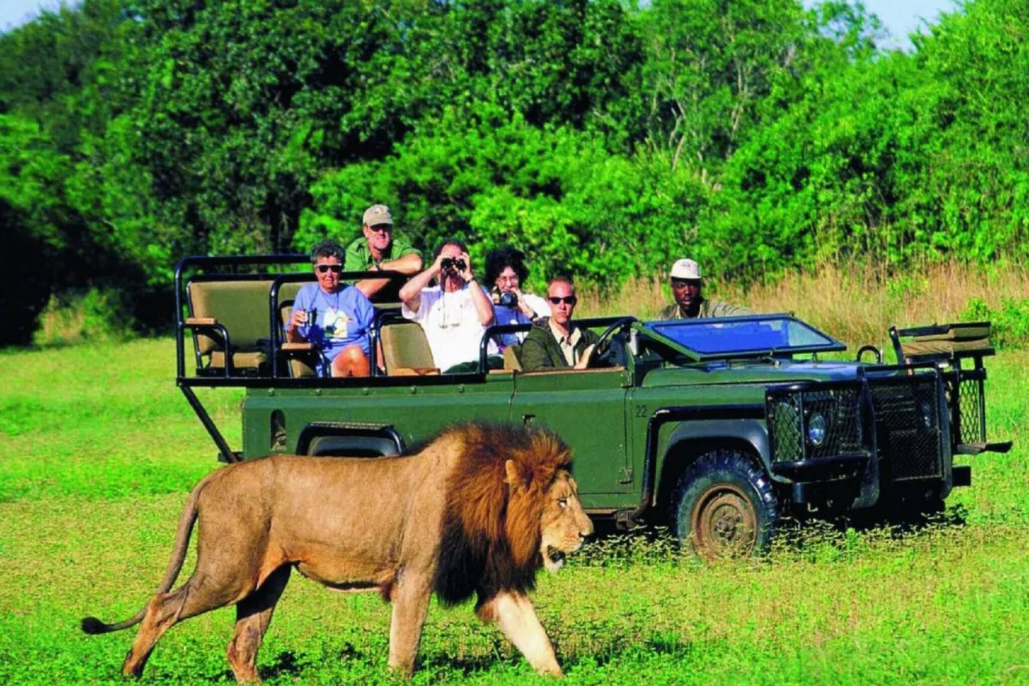 ভারতীয়দের পছন্দের গন্তব্য দক্ষিণ আফ্রিকা! সাধ্যের মধ্যে বেড়ানোর সেরা ডেস্টিনেশন