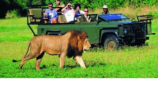 চলতি বছরে ৭২ শতাংশ ভারতীয় পর্যটকের সমাগম আশা করছে সাউথ আফ্রিকান ট্যুরিজম