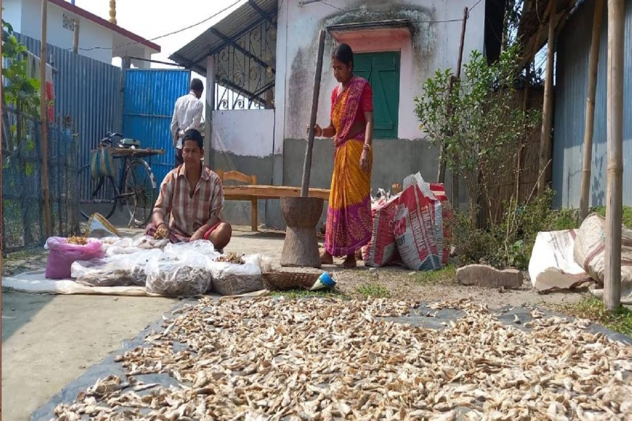 Shutki Fish| New Business Idea|| গন্ধে প্রাণ যায়, সেই সিদল শুঁটকির চাহিদা মেটাতে হিমশিম খাচ্ছেন ব্যবসায়ীরা, হুড়মুড়িয়ে বাড়ছে ব্যাঙ্ক ব্যালেন্স