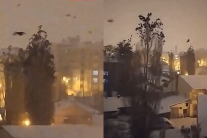 ভাইরাল ভিডিও ঘিরে তোলপাড়