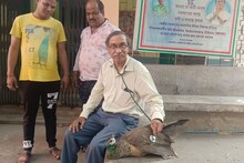 জঙ্গলের আহত ময়ূরকে নিয়ে চিকিৎসা কেন্দ্রে ছুটল গ্রামবাসীরা