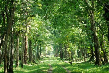 অবশেষে