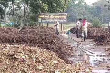 বাড়ি