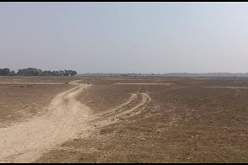 বিরাট