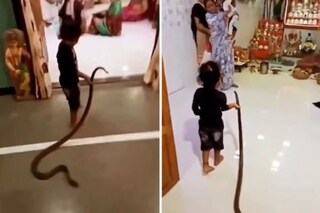 সাপ টানতে টানতে কোথায় নিয়ে যাচ্ছে শিশু