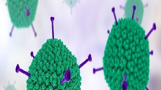 Adenovirus Alert Adenovirus Alert