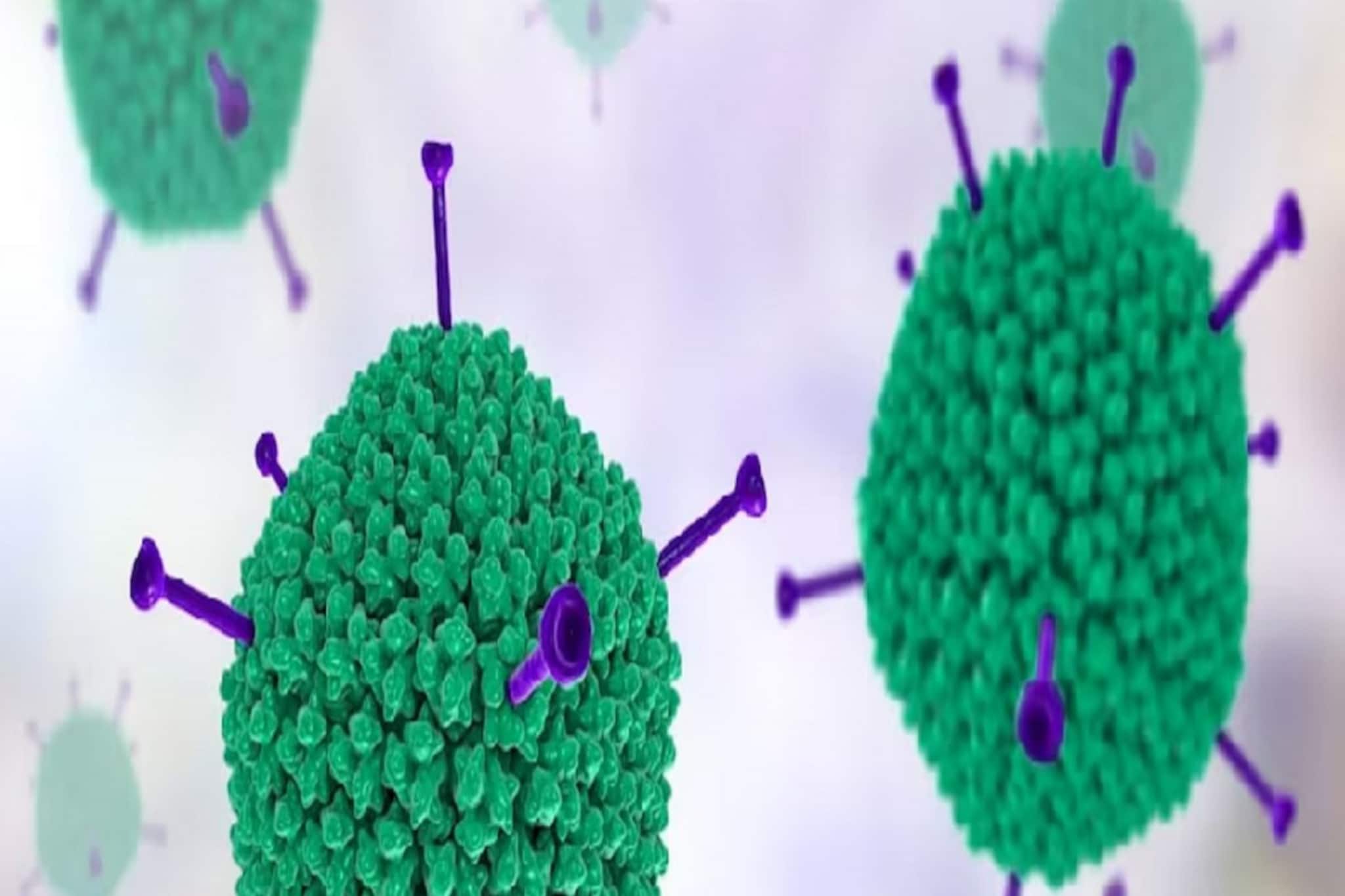 অ্যাডিনো সন্দেহে একরাতেই ৬ শিশুর মৃত্যু! বি সি রায়ে বাড়ছে 'ভাইরাস' আতঙ্ক...