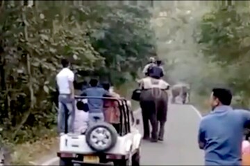 জঙ্গল