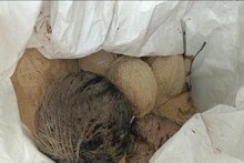 উত্তপ্ত ভাঙড়ে উদ্ধার বস্তা ভর্তি তাজা বোমা, আইএসএফের দিকে আঙুল আরাবুল শিবিরের