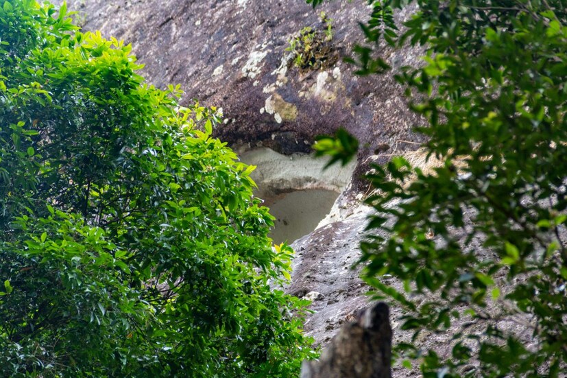 এ বারের এই অভিযাত্রী দলে ছিলেন সুকান্ত, শুভ, সৌরভ, ঋভু, আশিস ও অনিন্দ্য৷ তাঁরা বলছেন, এ বারের অভিযান ছিল বেশ কঠিন ছিল৷ কারণ, গুহাটি ছিল ২০০ ফুট উঁচু খাড়া পাহাড়ে ঢাকা৷ রক ক্লাইবিং না জানলে সেখানে প্রবেশ মুশকিল৷ (ছবি - আশিস চন্দ্র)