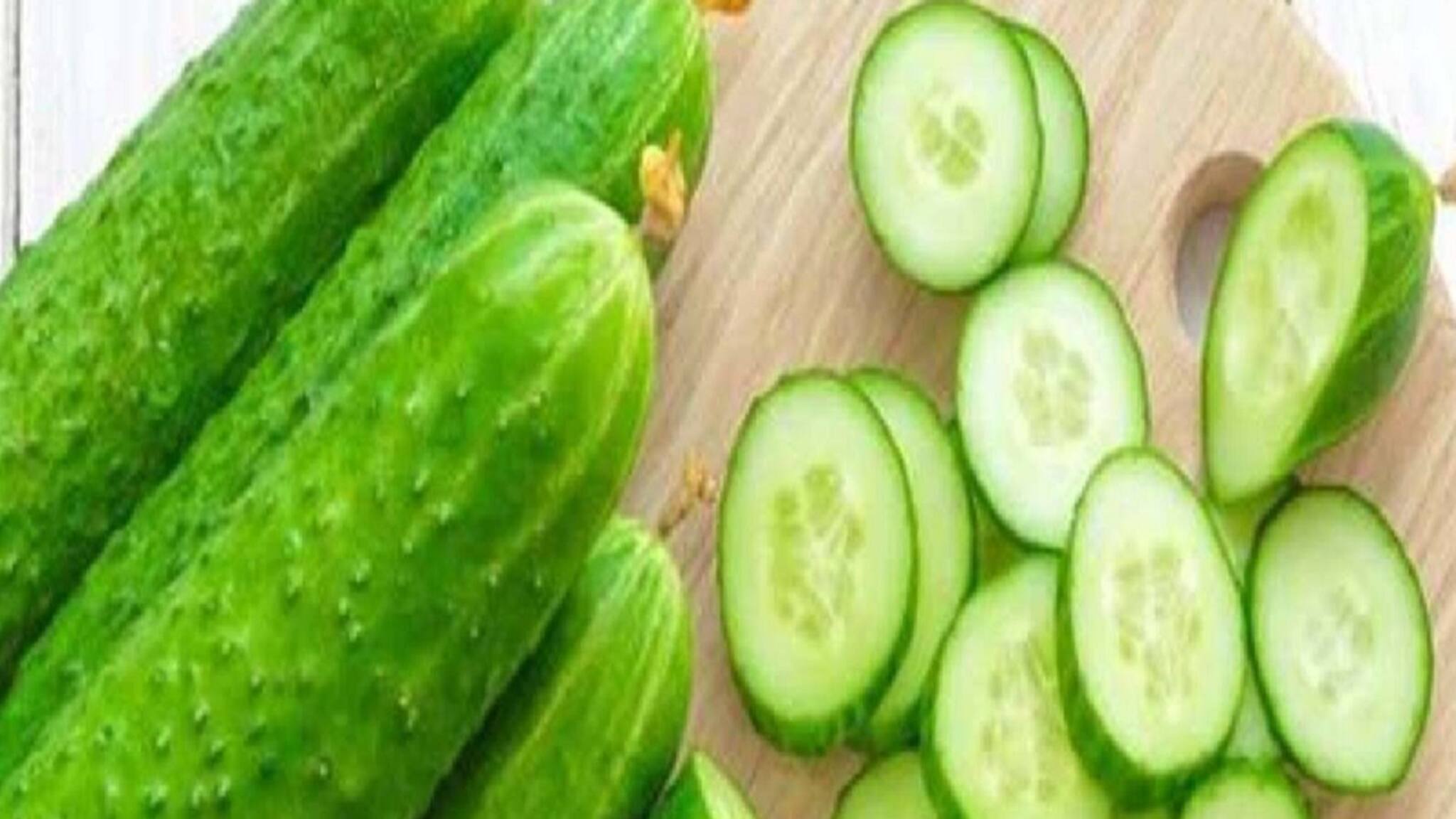 শসা চাষের বিশেষ পদ্ধতি! রাজস্থানের কৃষক রাতারাতি ধনী হলে কপাল খুলবে সবারই!