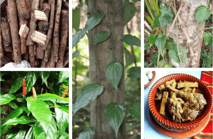 চুইঝাল বা চইঝাল