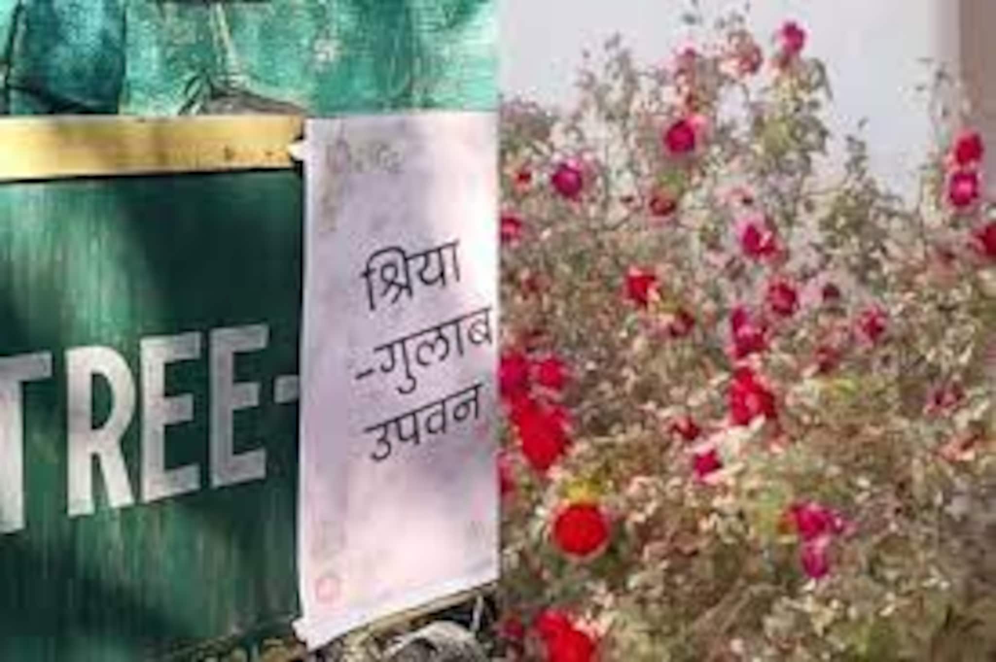 ভ্যালেন্টাইনস ডে তে গার্লফ্রেন্ডকে গোলাপের বাগান উপহার দিলেন প্রেমিক