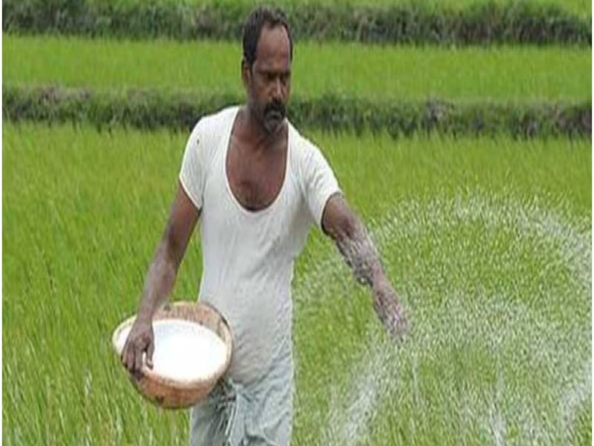 কৃষকদের সরকারি প্রকল্পের কথা জানাবে ChatGPT, কথা হবে ১২টি ভারতীয় ভাষায়