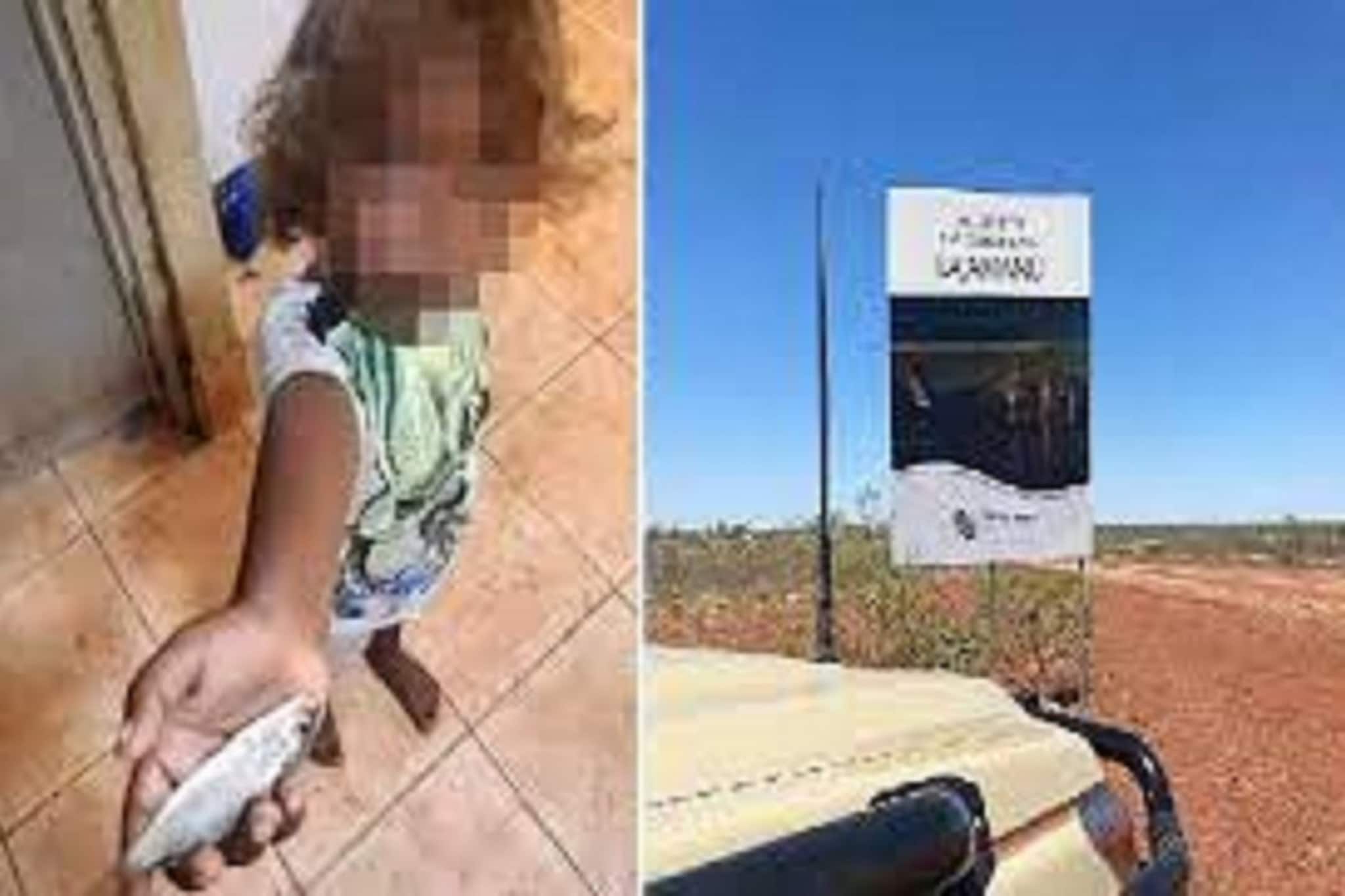 আকাশ থেকে মাছ বৃষ্টি হচ্ছে অজি শহরে, প্রাকৃতিক ঘটনার পিছনে জানুন রহস্য