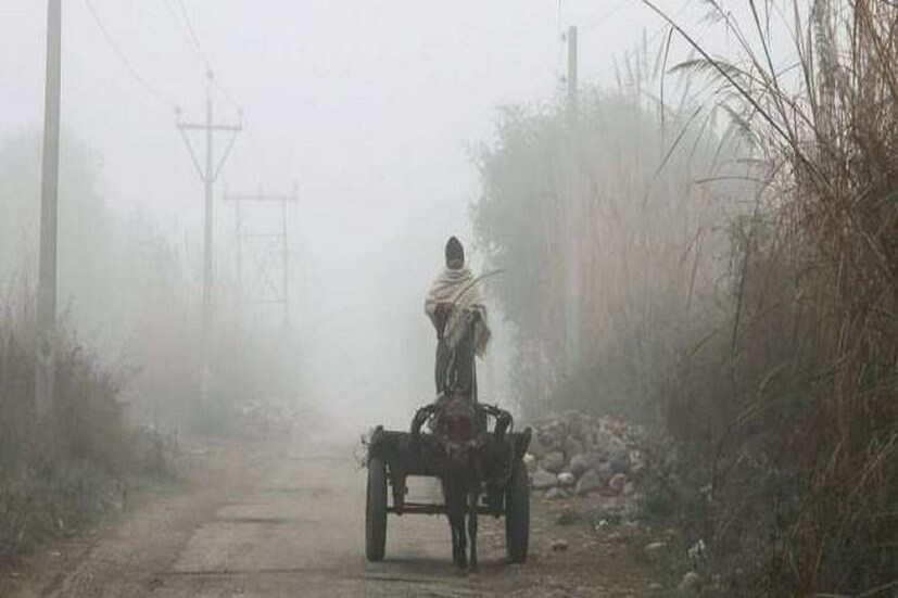 West Bengal Weather Update: ১৪ ফেব্রুয়ারি পর্যন্ত শীত ওঠানামা করবে বাংলায়। বৃহস্পতিবার তাপমাত্রা কিছুটা নামবে। শনিবার, রবিবার আবারও বাড়বে তাপমাত্রা। সোম- মঙ্গলবার তাপমাত্রা ফের নিম্নমুখী হবে পারদ। মঙ্গলবার ১৪ ফেব্রুয়ারি বেশ কিছুটা নিচে নামতে পারে পারদ।