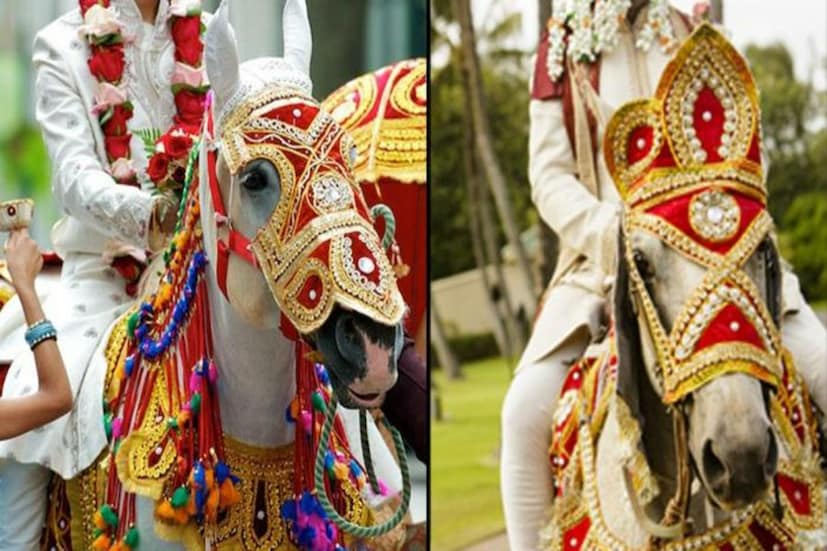 কিন্তু বরের বাড়ির লোকেরা যৌতুক ফেরত দিতে রাজি না হওয়ায় এবং ঘটনার পরে তাদের জন্মস্থান চিত্তুরে ফিরে যাওয়ায় এই অভিযোগ দায়ের করেন কনে ও তাঁর পরিবার।