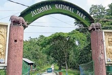 টহলরত অবস্থায় জলদাপাড়া জঙ্গলে কী দেখলেন বনকর্মীরা! কপালে চিন্তার ভাঁজ বন দফতরের