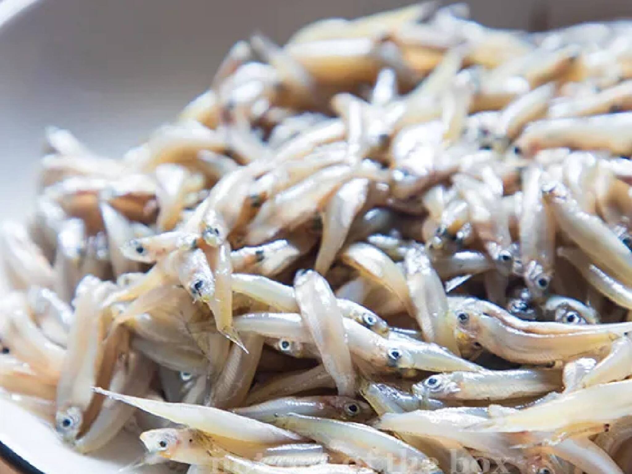 Fish: কুচো মাছ দেখে আজকাল নাক সিঁটকায় আজকালকার ছেলেমেয়ে, জানেন কি কত গুণাগুণ আছে এইসব মাছে?