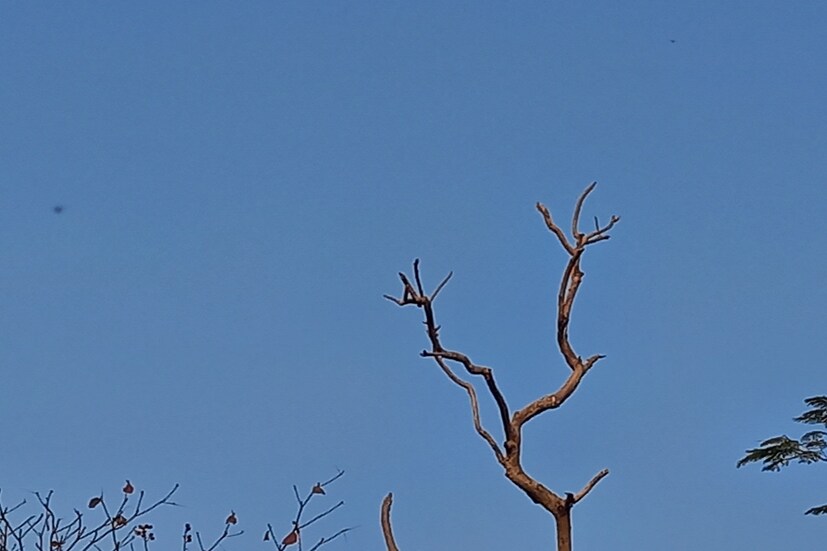 পুরুলিয়াতেও আবহাওয়ার খানিকটা পরিবর্তন লক্ষ্য করা যায়। হালকা শীতের আমেজ ছিল গোটা জেলা জুড়ে। হাওয়া অফিস সূত্রে খবর শুক্রবার পুরুলিয়া সর্বোচ্চ তাপমাত্রার পারদ থাকতে পারে ২৮ ডিগ্রি সেলসিয়াস ও সর্বনিম্ন তাপমাত্রার পারদ থাকতে পারে ১৬ ডিগ্ৰি সেলসিয়াস। সকালের দিকে কুয়াশাচ্ছন্ন মেঘলা আকাশ থাকলেও বেলা বাড়ার সঙ্গে সঙ্গে ক্রমশ পরিষ্কার হতে দেখা গিয়েছে আকাশ। প্রতিবেদন- শর্মিষ্ঠা বন্দ্যোপাধ্যায়