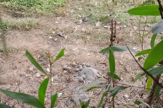 প্রতীকী চিত্র
