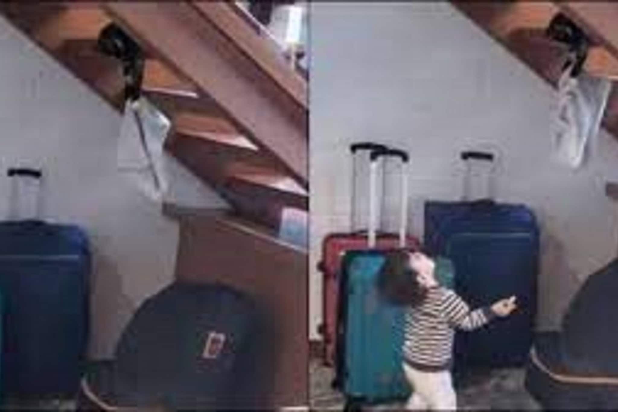 একটি ছোট্ট ছেলের সঙ্গে বিড়ালের মিষ্টি খেলার ভিডিও ভাইরাল, দেখুন মজার ভিডিওটি