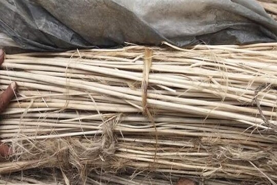 প্রতীকী চিত্র