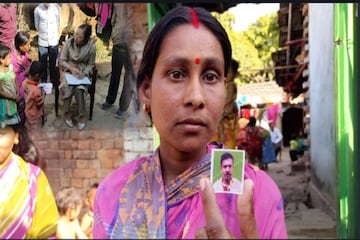 পরিযায়ী