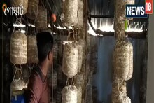 অল্প সময়ে বিকল্প রোজগারের পথ দেখাচ্ছে হুগলির মাশরুম চাষ
