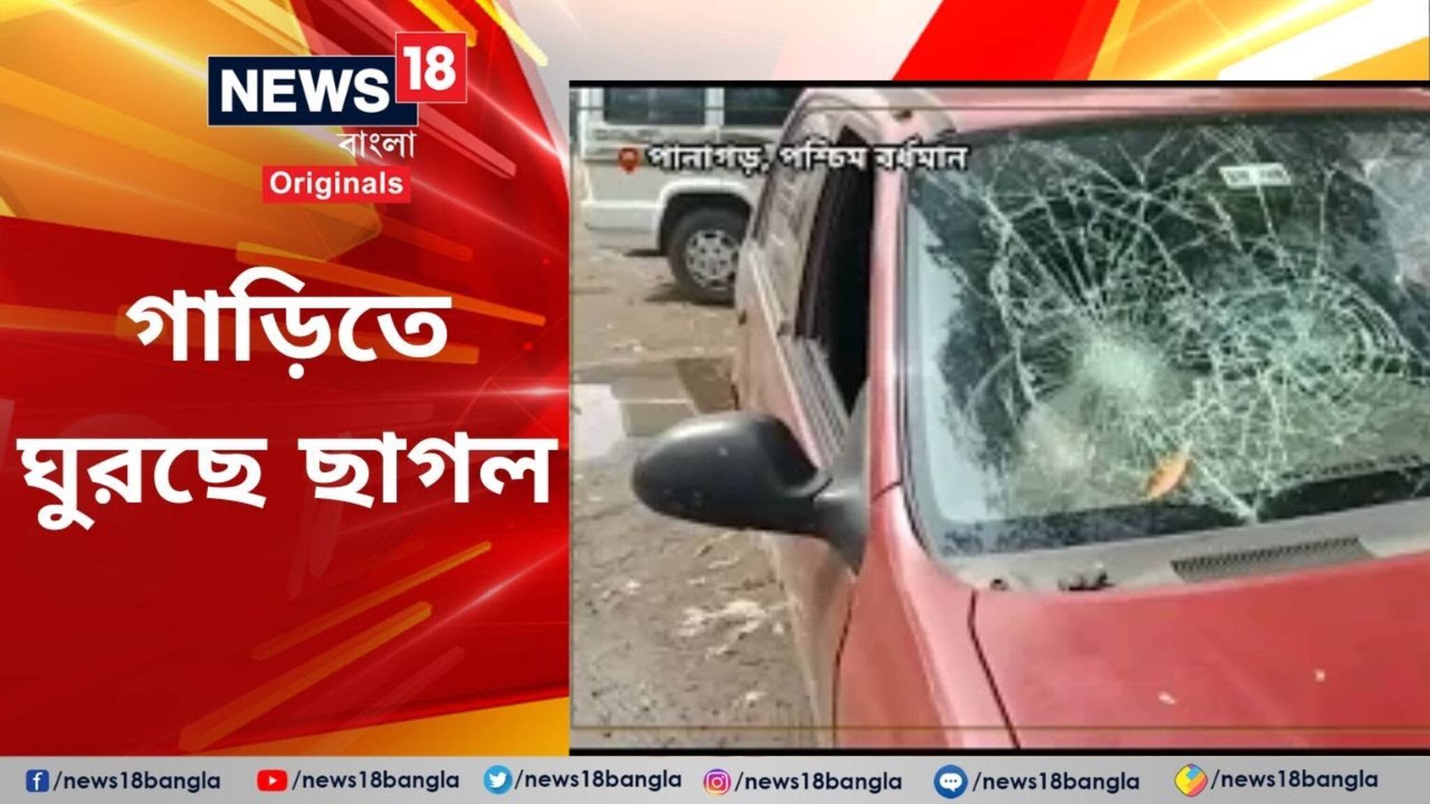 কাণ্ড দেখে মাথায় হাত! বিনা বাধায় গাড়িতে ঘুরছে ছাগল চুরিতে অভিযুক্তরা