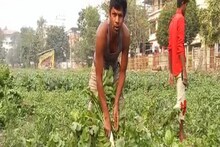 কৃষকদের জন্য বড় সুখবর, এবার এই সবজি চাষ করে হতে পারেন মোটা টাকার মালিক