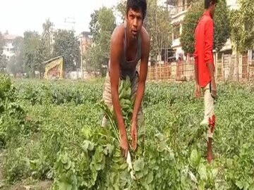 title=