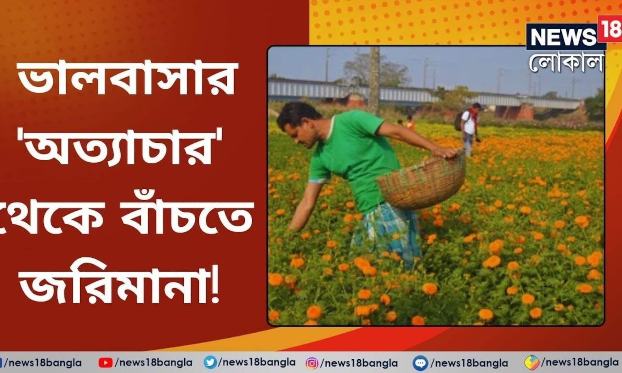 ফুলপ্রেমীদের ভালবাসার 'অত্যাচার' থেকে বাঁচতে জরিমানা ধার্য করলেন চাষিরা