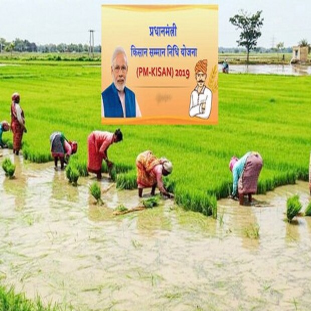 যদি কোনও কৃষক কিংবা তাঁর পরিবারের কেউ সাংবিধানিক পদে আসীন থাকেন, তাহলেও কিস্তির টাকা মিলবে না।  রাজ্য/কেন্দ্রীয় সরকারের পাশাপাশি পিএসইউ এবং সরকারি স্বায়ত্তশাসিত সংস্থায় কর্মরত কিংবা অবসরপ্রাপ্ত কর্মীরা পাবেন না ওই টাকা।  ডাক্তার, ইঞ্জিনিয়ার, সিএ, আর্কিটেক্ট এবং আইনজীবীর মতো পেশার মানুষরাও কিস্তির টাকা পাবেন না।  কারও মাসিক পেনশন ১০ হাজার টাকার বেশি হলেও তিনি এই সুবিধা পাবেন না।  যাঁরা আয়কর প্রদান করেন, তাঁরাও পাবেন না এই টাকা।  কৃষক পরিবারের কেউ যদি মিউনিসিপ্যাল কর্পোরেশন অথবা জেলা পঞ্চায়েতে কাজ করেন, তাহলে তাঁরাও এই সুবিধার আওতার বাইরেই থাকবেন।
