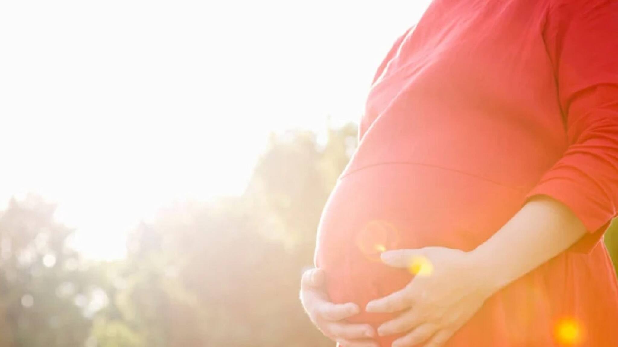 Single Tube Conception: একটি ফেলোপিয়ান টিউব কার্যকারিতা হারিয়েছে! গর্ভধারণের সম্ভাবনা কতটা জানাচ্ছেন বিশেষজ্ঞ চিকিৎসক