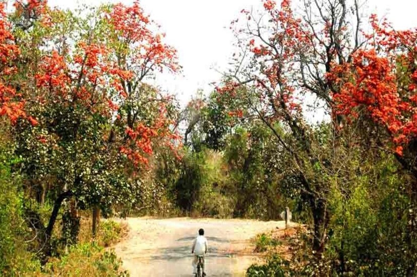 উত্তরবঙ্গের বেশ কিছু জেলা যেমন কোচবিহার , আলিপুরদুয়ার , কালিম্পং , জলপাইগুড়ি , দার্জিলিং এ রয়েছে বজ্রবিদ্যুৎ সহ বৃষ্টির সম্ভাবনা। তাপমাত্রার পারদ উত্তরবঙ্গে জেলাগুলিতে অনেকটাই স্বাভাবিক থাকবে। তবে দক্ষিণবঙ্গের জেলাগুলিতে মেঘলা আকাশ দেখা যাবে। পাশাপাশি থাকবে কুয়াশার দাপটে। কিন্তু বৃষ্টিপাতের সম্ভাবনা নেই বললেই চলে।