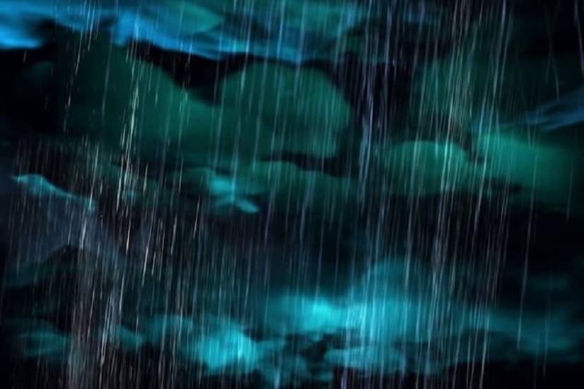 West Bengal Weather Update:  উত্তরবঙ্গে ঘন কুয়াশার দাপট কয়েকটি জেলায় বৃষ্টির পূর্বাভাস। দার্জিলিং, কালিম্পং, আলিপুরদুয়ার, কোচবিহার, জলপাইগুড়িতে হালকা বৃষ্টির পূর্বাভাস। ২৪ ঘণ্টা  পর দার্জিলিং, কালিম্পং ছাড়া আর কোথাও বৃষ্টির কোনও সম্ভাবনা নেই।