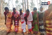 বসন্তে রাঙা সাঁওতাল পরগনায় বাহা পরব, ওহ! সে কী দৃশ্য